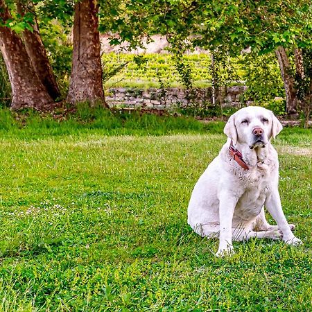 Willa Quinta Do Boicao Lizbona Zewnętrze zdjęcie